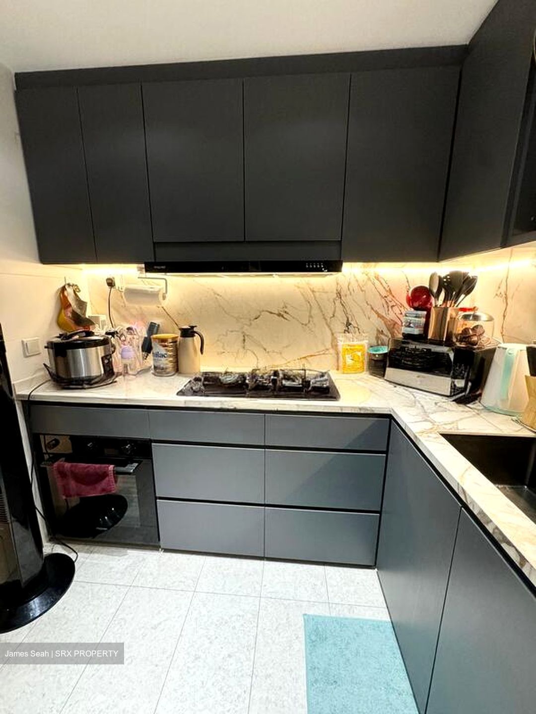 Ecopolitan (D19), Condominium #583373451